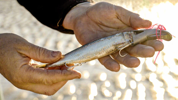 Fishing Accessories