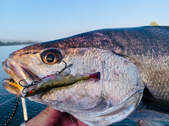 CHASEBAITS: Armour Prawn