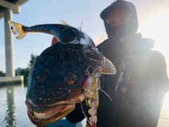 CHASEBAITS: Armour Prawn