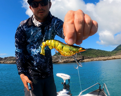 CHASEBAITS: Armour Prawn